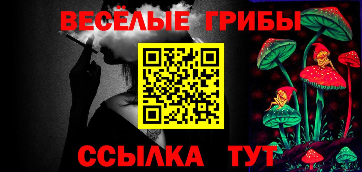 Кизляр  Псилоцибиновые грибы Psilocybe  Вход с VPN 