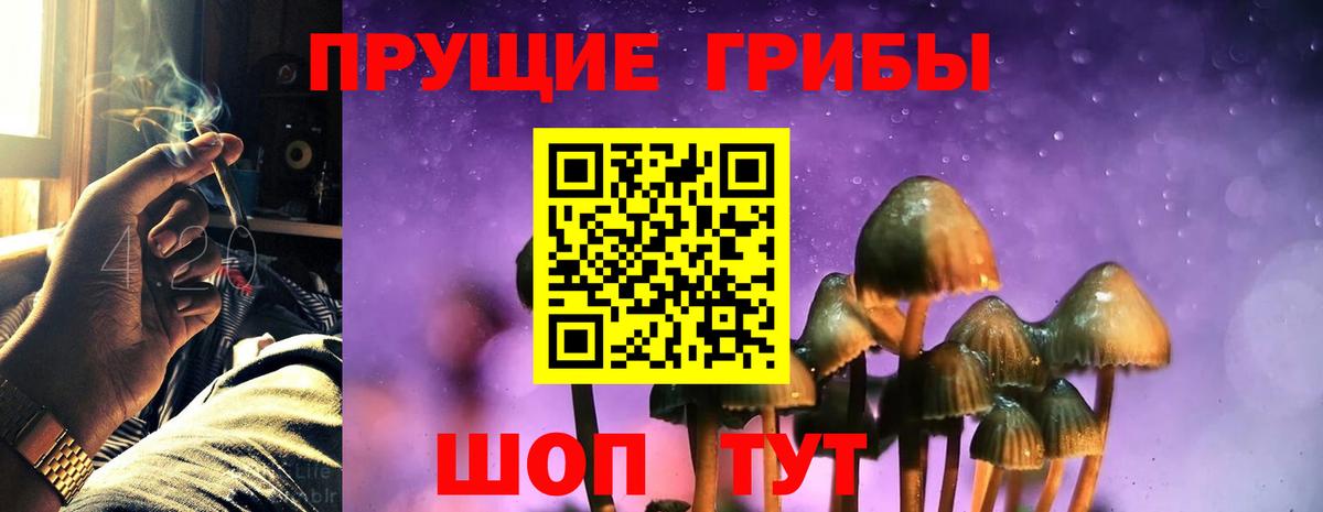 Псилоцибиновые грибы Magic Shrooms Кизляр